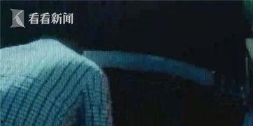 司机吃瓜完整视频,揭秘瓜农生活,感受田间地头欢乐时光 第2张 司机吃瓜完整视频,揭秘瓜农生活,感受田间地头欢乐时光 第2张